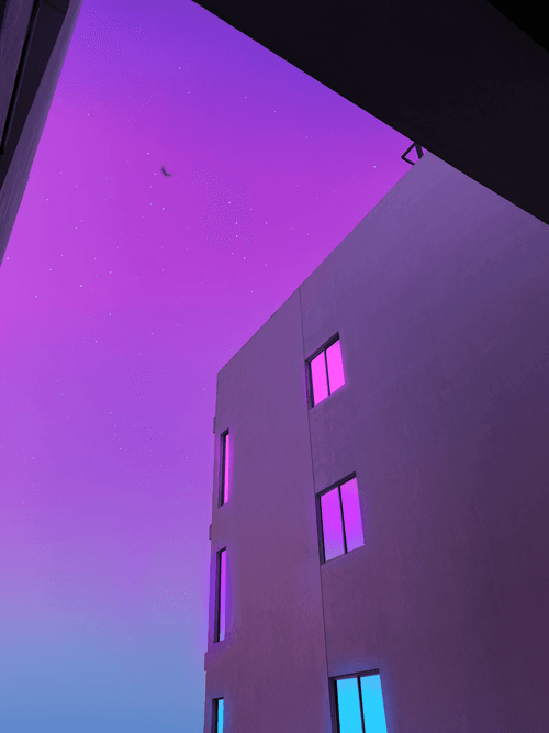 Pink & Purple World #45