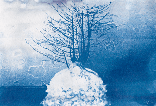 Infinite Blue | Cyanotype