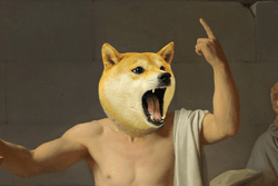 Doge Generals (Polygon) collection image