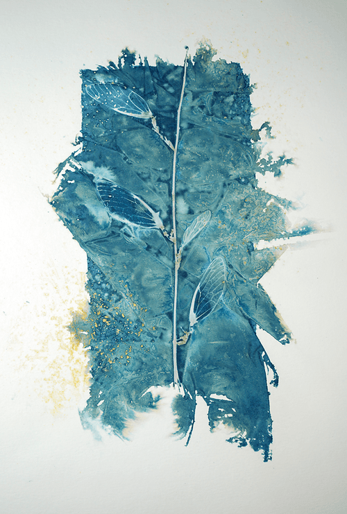 Cyano Art Collection by Jimi Albert