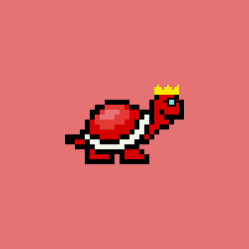 Turtle #803