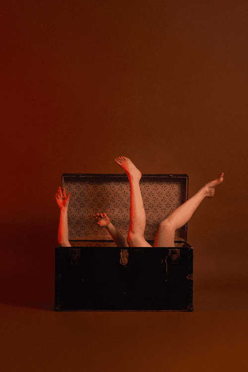 bodies in motion