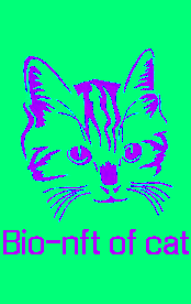 #7 Bio nft of cats
