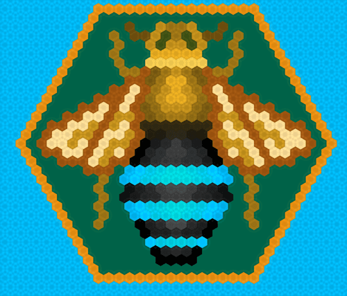 Amegilla cingulata, Blue-Banded Bee, worker bee