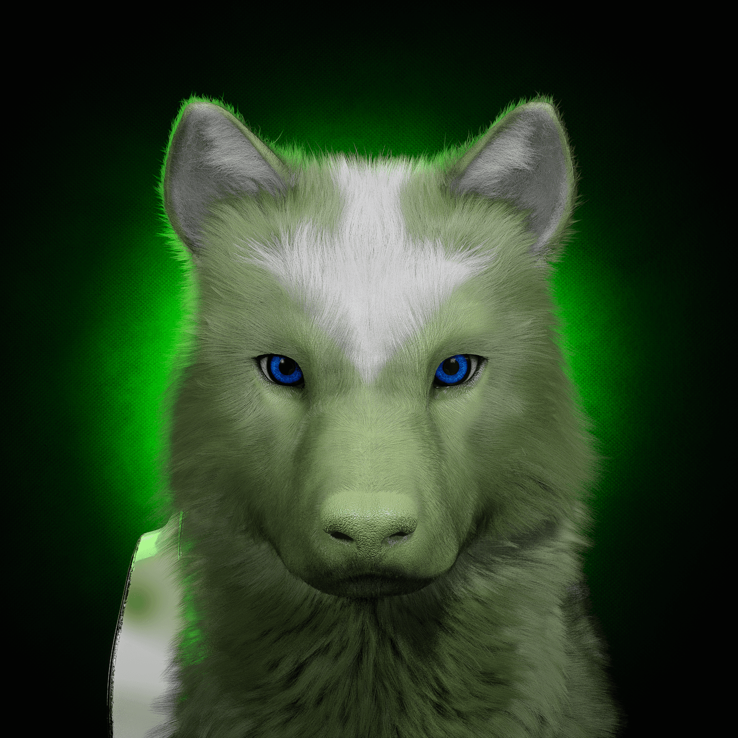 Wolf #991