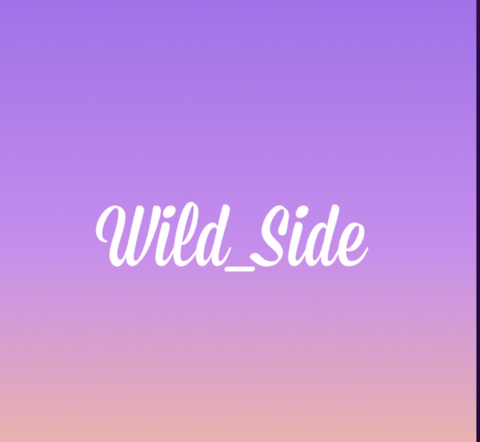 wild_side_studio