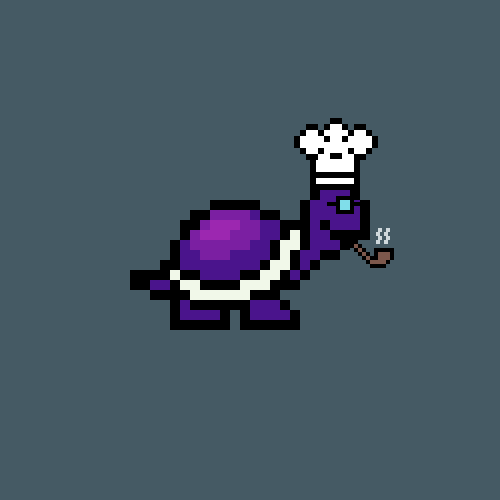 Turtle #897