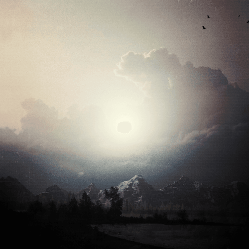 LTnT Hallucinations