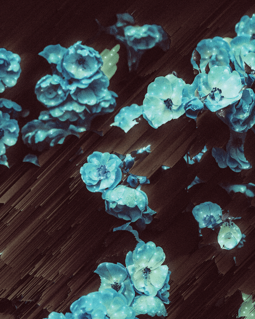 god's flowers II
