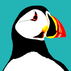 Puffin collection image