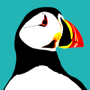 Puffin