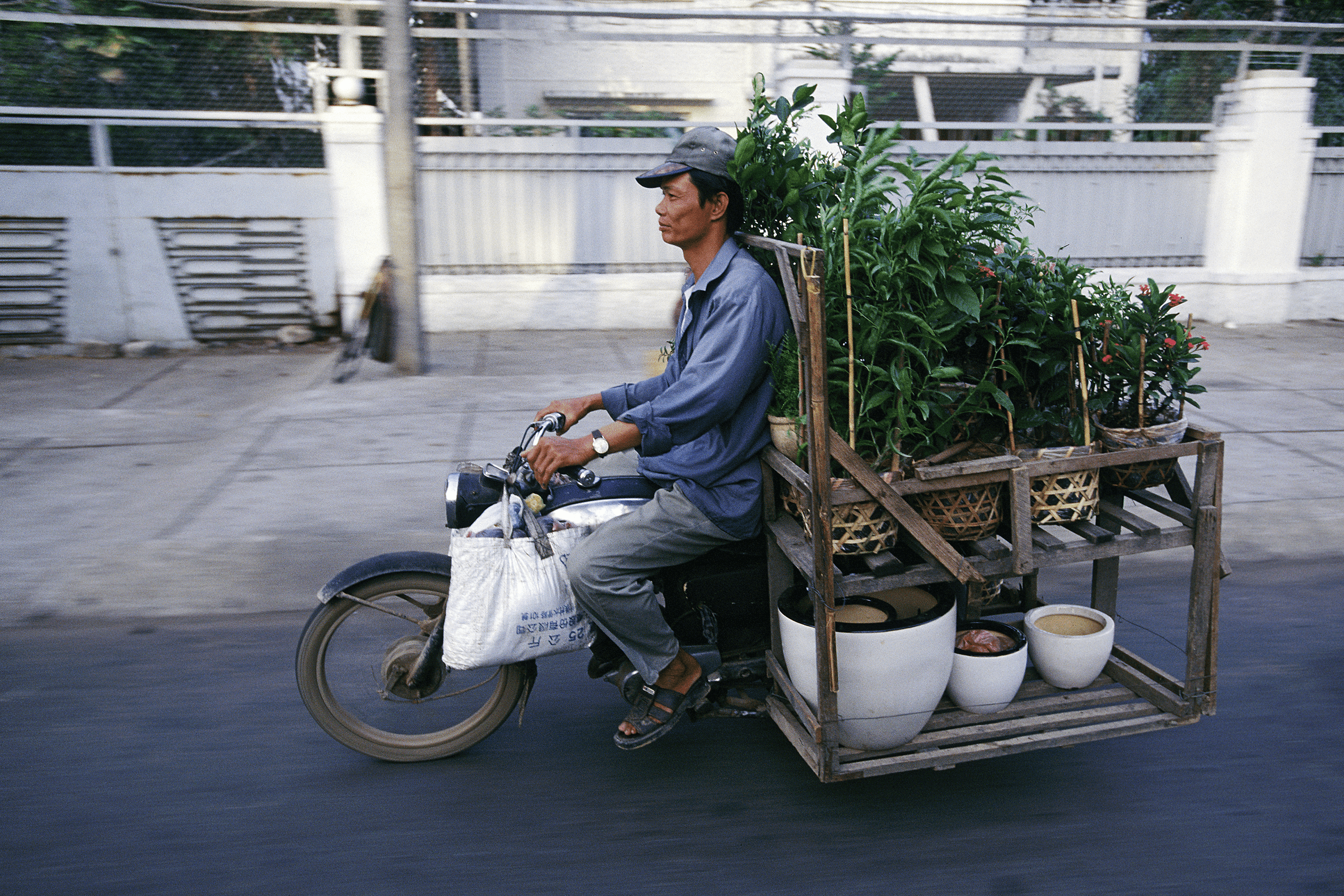 Bikes of Burden #40. Plants.