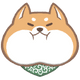 Chubby shiba