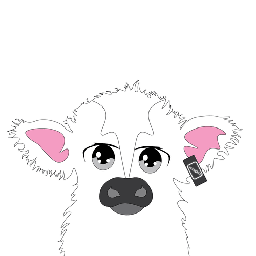 ClyptoTag 7