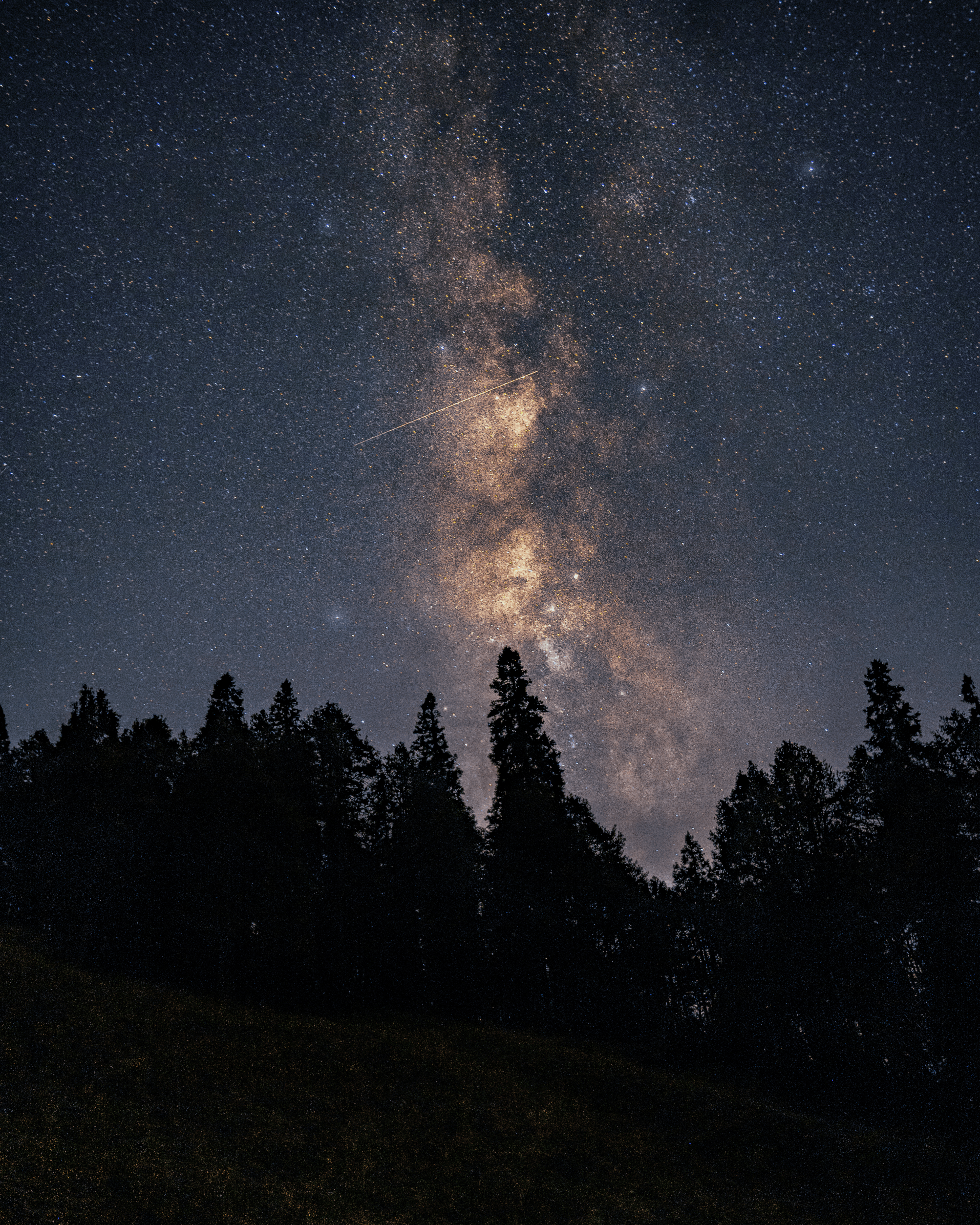 Stargazing Night