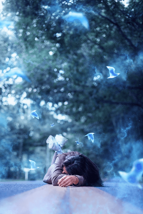 Birds are Blue 6