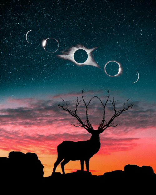 SILHOUETTE DEER 