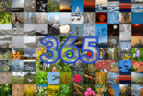 Only one day of the 365