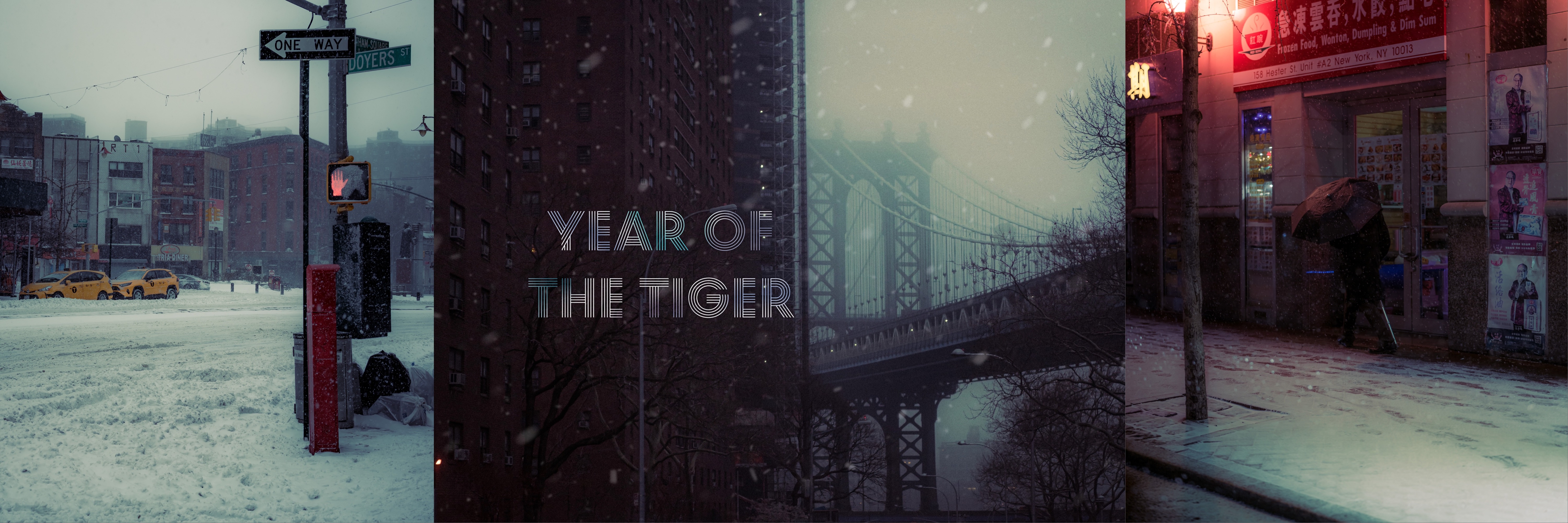 'Year of the Tiger'