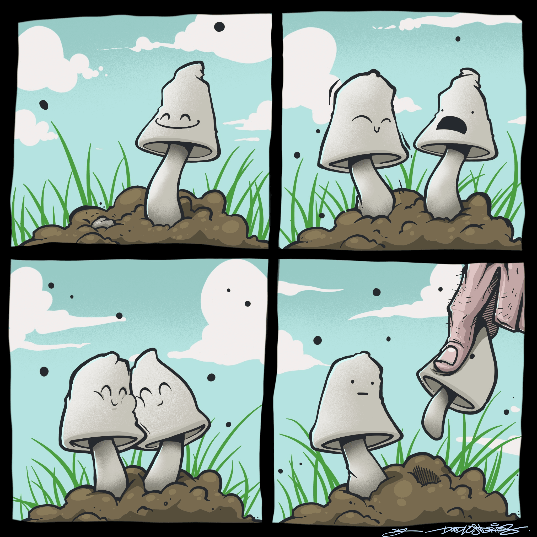 fungalFriends