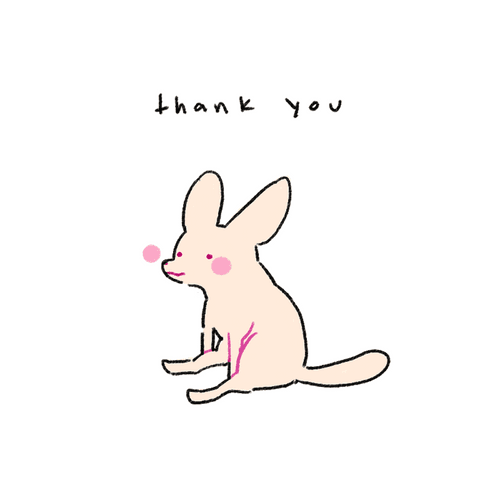 gratitude fennec