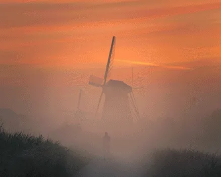 Into the Fog