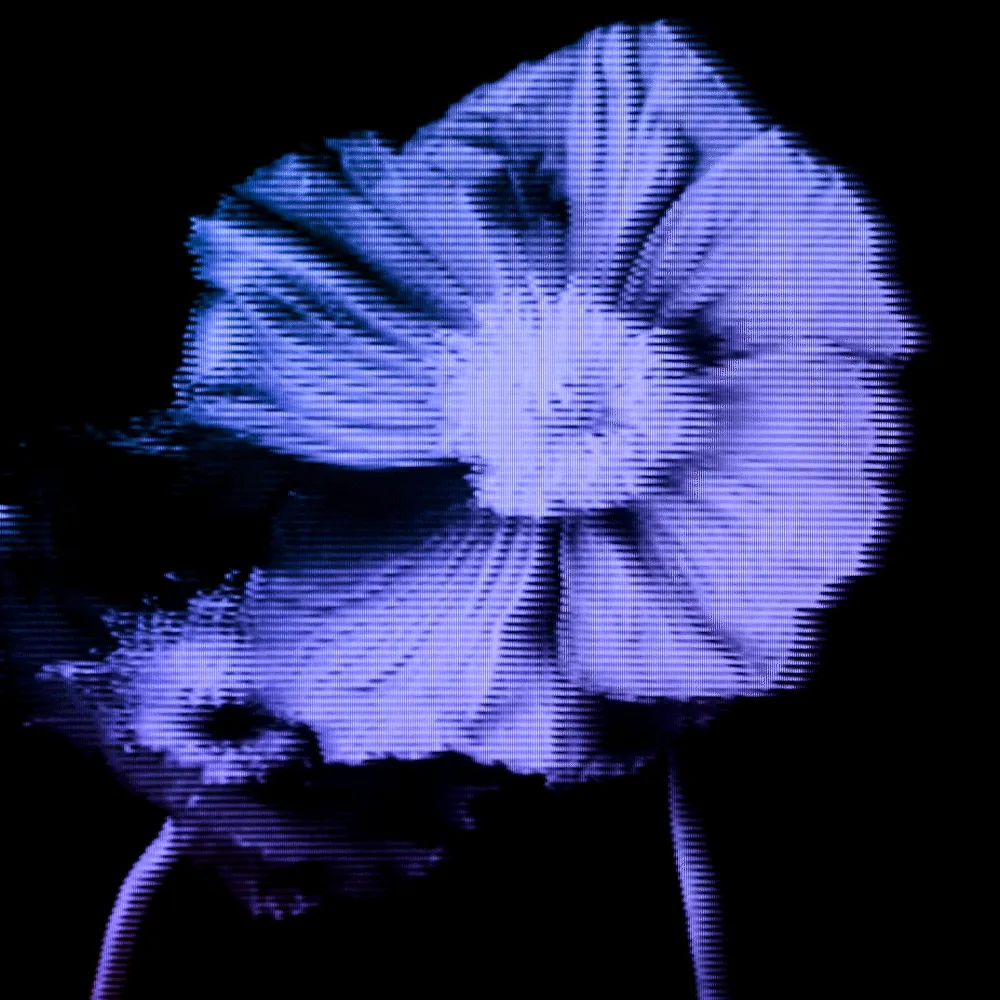 Flower #02