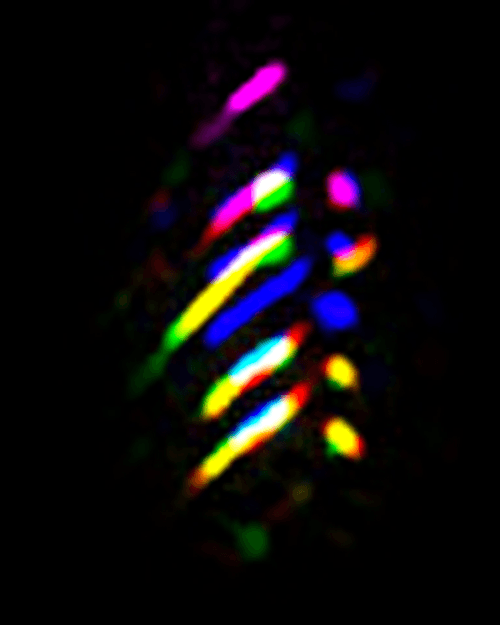 Fingerprint #52