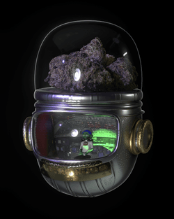 ASTRO NUGG collection image
