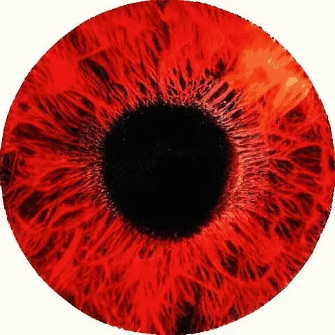 Chimeric Art
