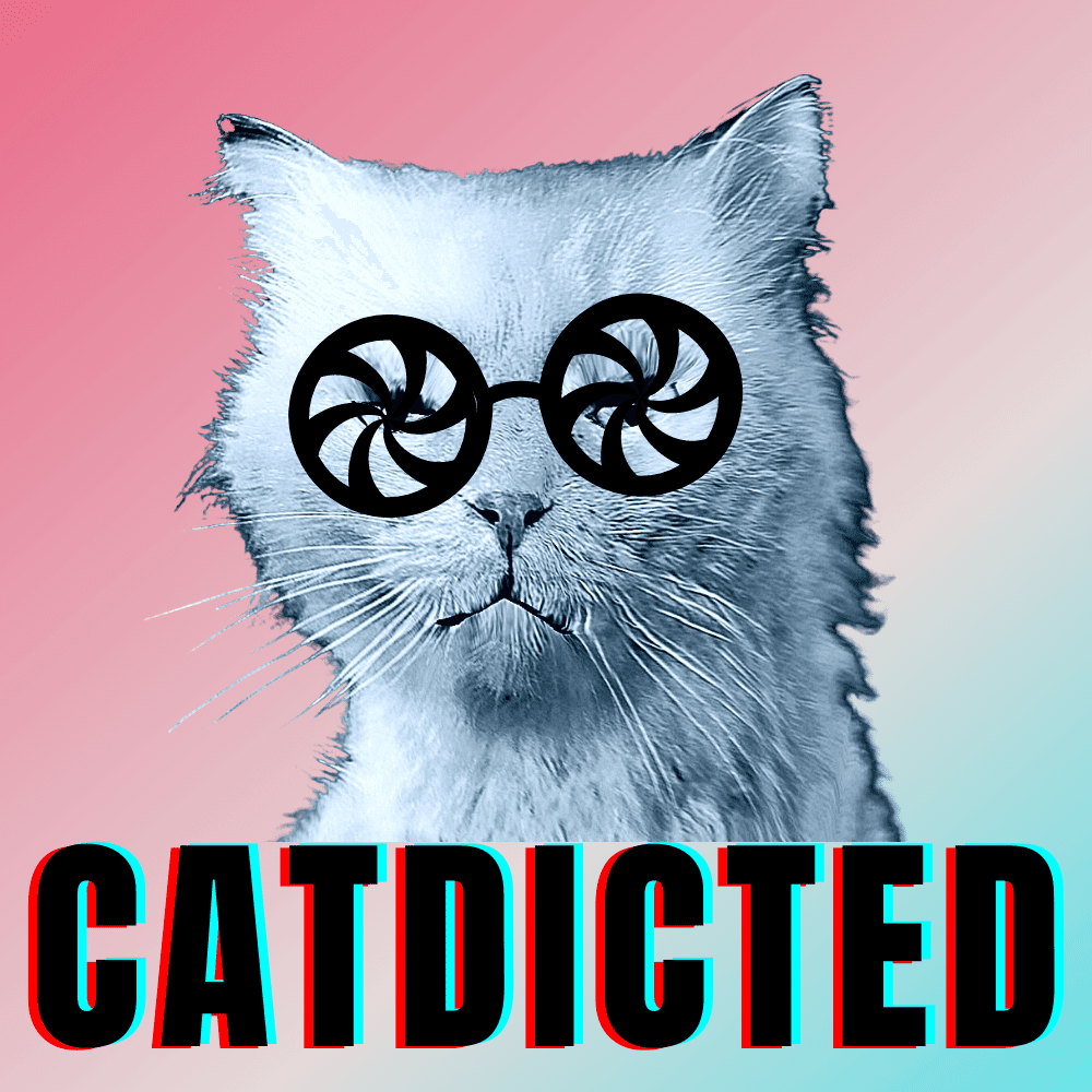 #bluecatmax #8 catdicted