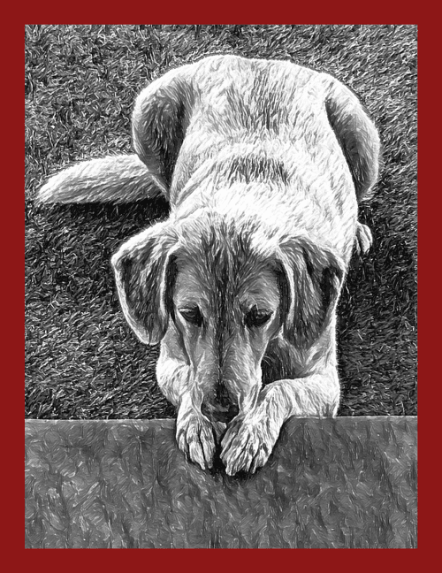 Wiley - The black and White Collection