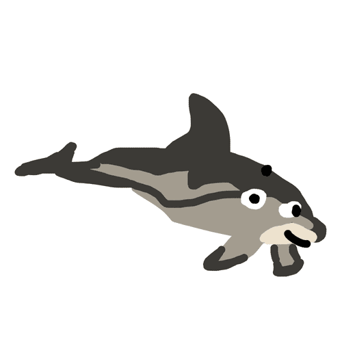 Dusky Dolphin