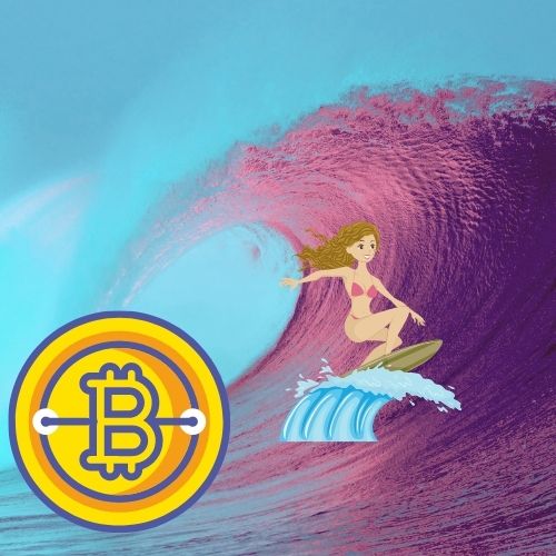 Bitcoin Wave Surfer www.crypto-casa.com follow us on bitclout.com #35 Crypto 2021