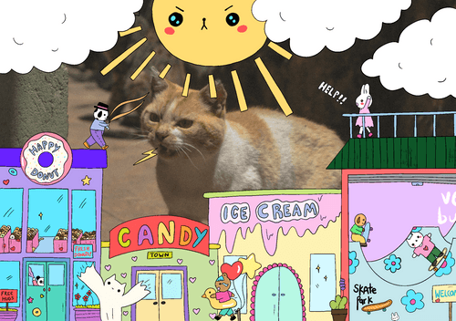 Catzilla Attacks Lavender Fields