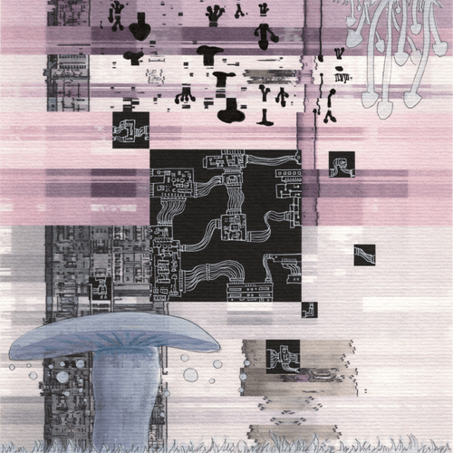 The Approach 09