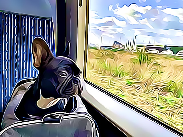 Train trip