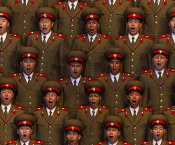 DPRK choir and other animals collection image