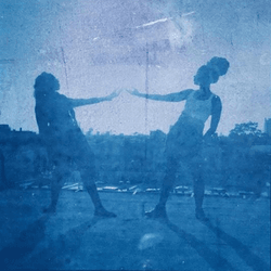 Justin Aversano - Twin Flames - Cyanotype Collection collection image