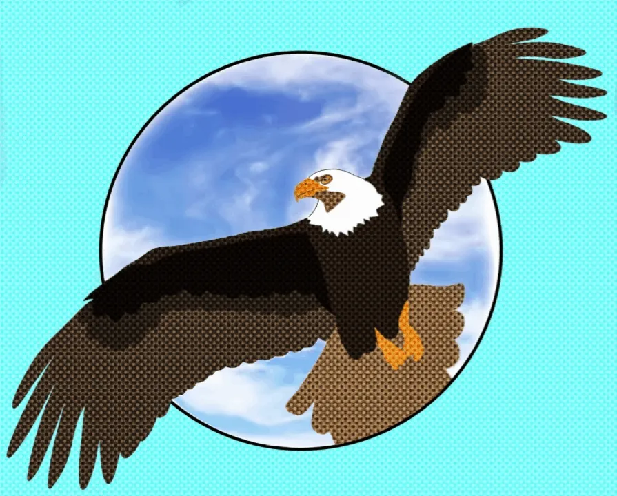 Bird Series - Eagle