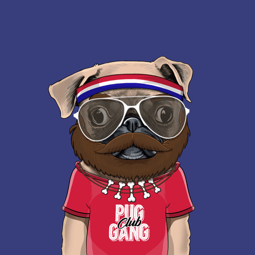 Pug #0141