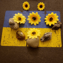The Sunflower - Slava Ukraini collection image