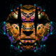METATRIBE_Origins - old V2