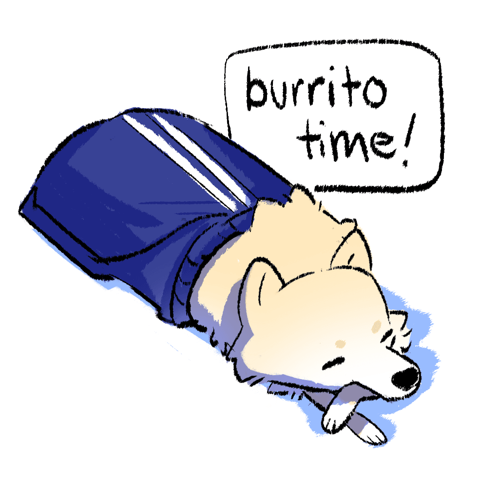 🌯 Burrito Time 🌯