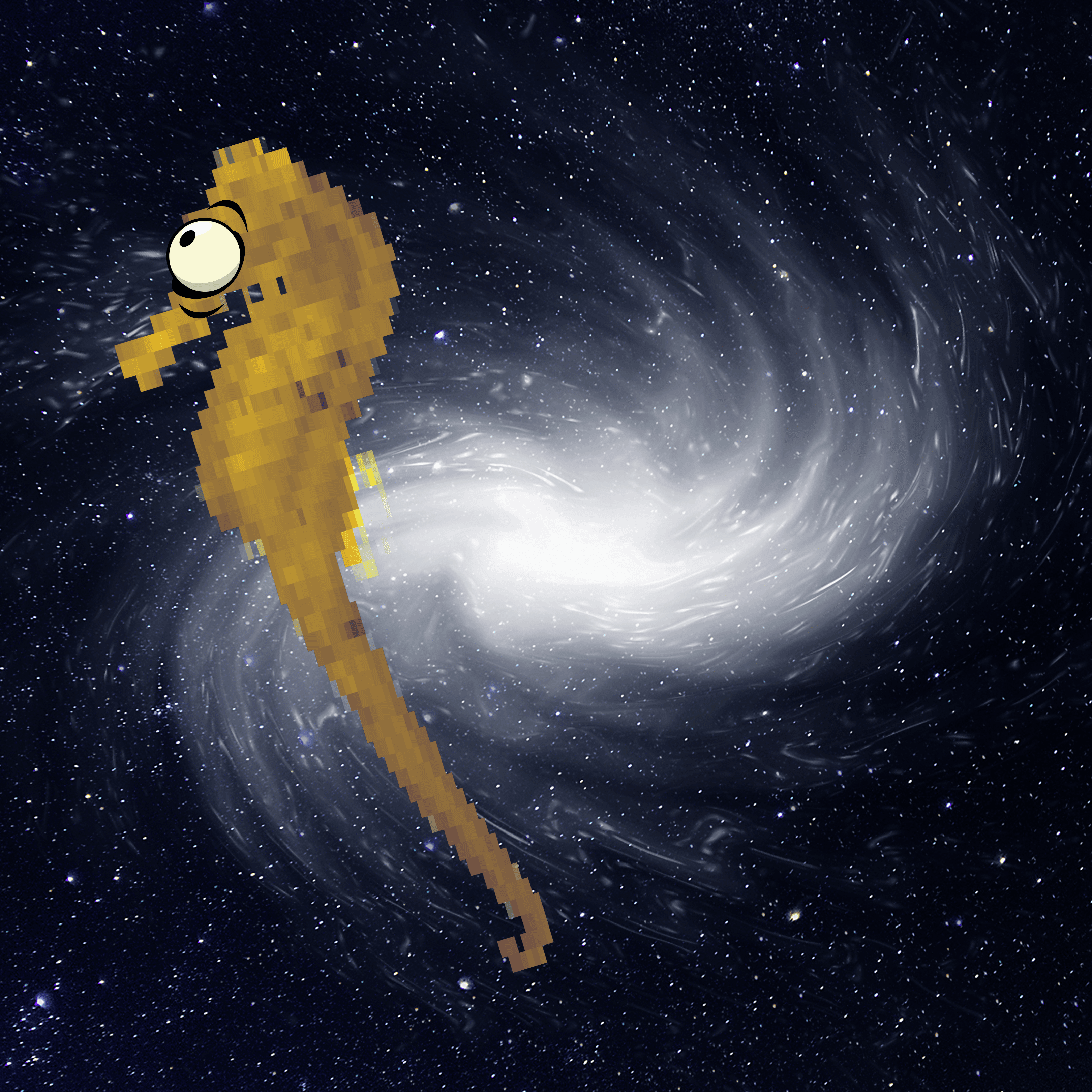 Seahorse in Space XII