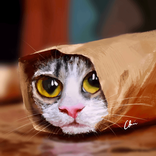 Purrito