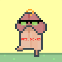 PIXEL DICKIES collection image