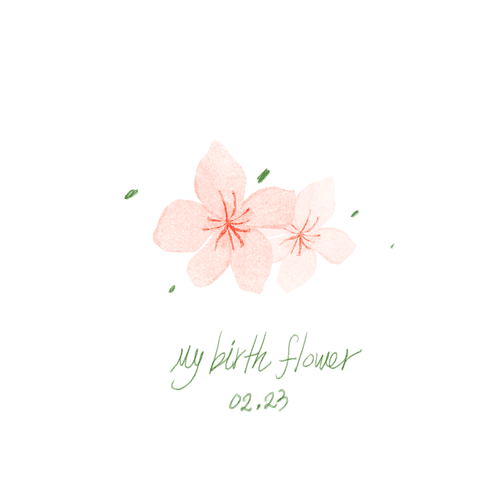 My day flower.