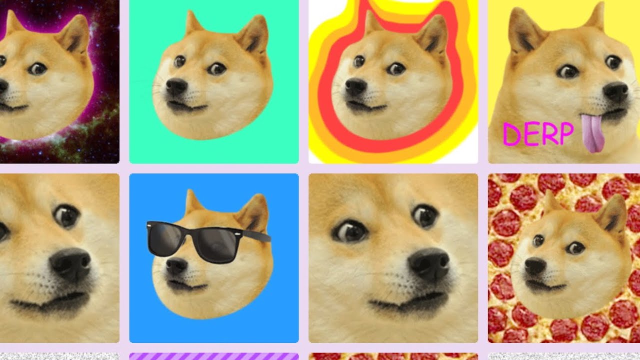 doge 20148