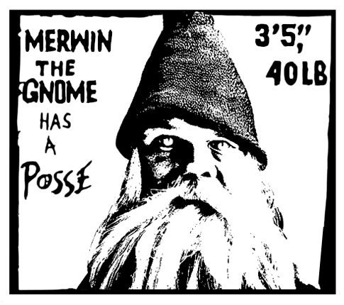 Merwin the Gnome Has a Posse